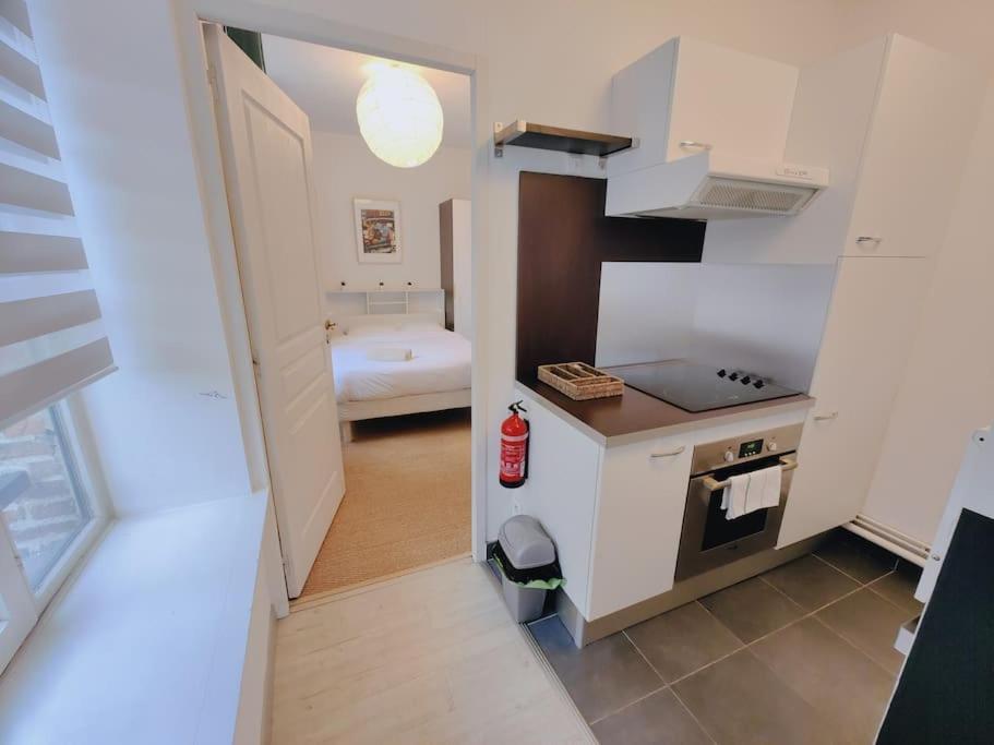 Appartement Lumineux Et Calme Parking Gratuit Lille Exterior foto